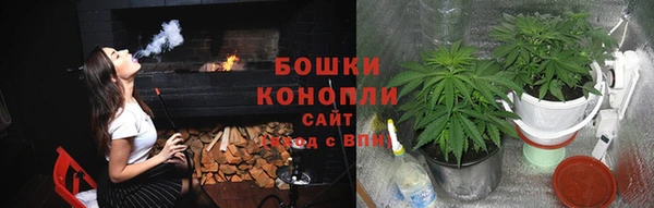мет Мегион