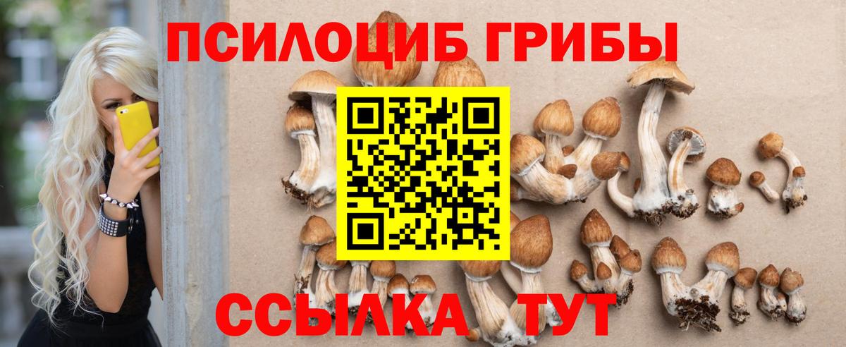 Галлюциногенные грибы мухоморы Набережные Челны
